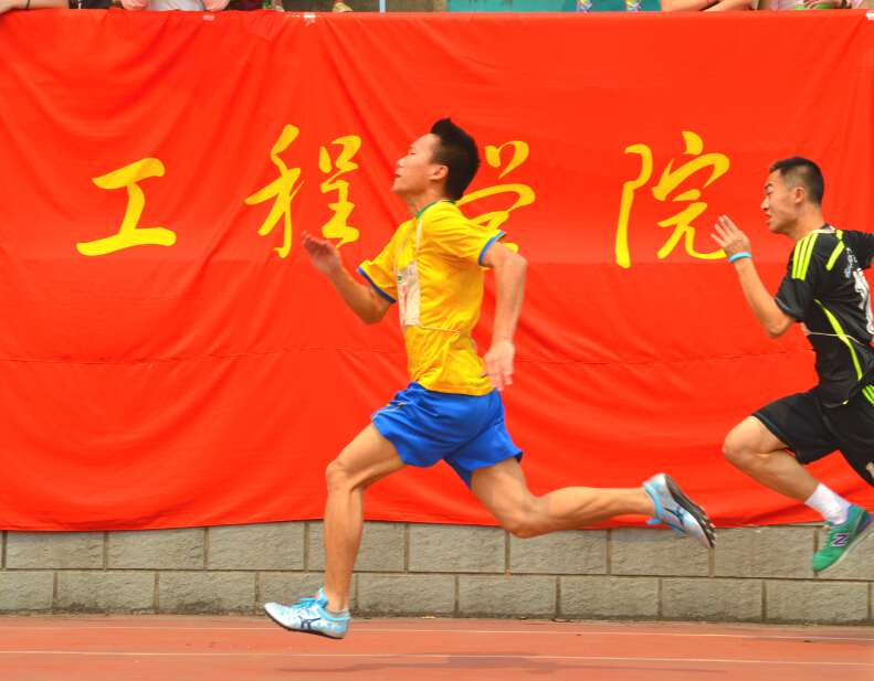 张安锐 (2).jpg